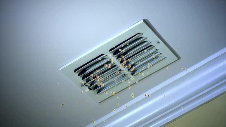 Best Best Air Duct Cleaning Company  in Cleburne, TX